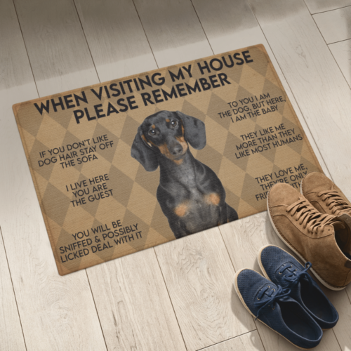 WHEN VISITING MY HOUSE PLEASE REMEMBER DACHSHUND DOG Indoor And Outdoor Doormat Warm House Gift Welcome Mat Gift For Dachshund Lovers