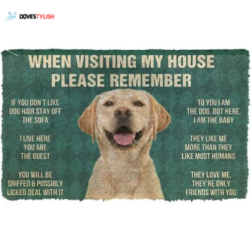 When Visiting My House Please Remember Dog’s House Rules Labrador Retriever Doormat Indoor and Outdoor Doormat Warm House Gift Welcome Mat Gift for Dog Lovers Birthday Gift