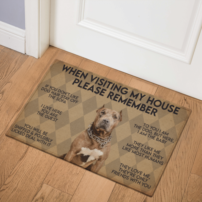 WHEN VISITING MY HOUSE PLEASE REMEMBER PB DOG Indoor And Outdoor Doormat Warm House Gift Welcome Mat Gift For PB Lovers