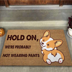 Hold On Were Probably Not Wearing Pants Corgi Easy Clean Welcome DoorMat