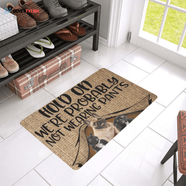 Hold On Were Probably Not Wearing Pants French Bulldog Easy Clean Welcome DoorMat