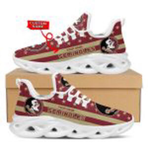 NCAA Florida State Seminoles Max Soul Shoes Custom Name by Sikhiarts Store