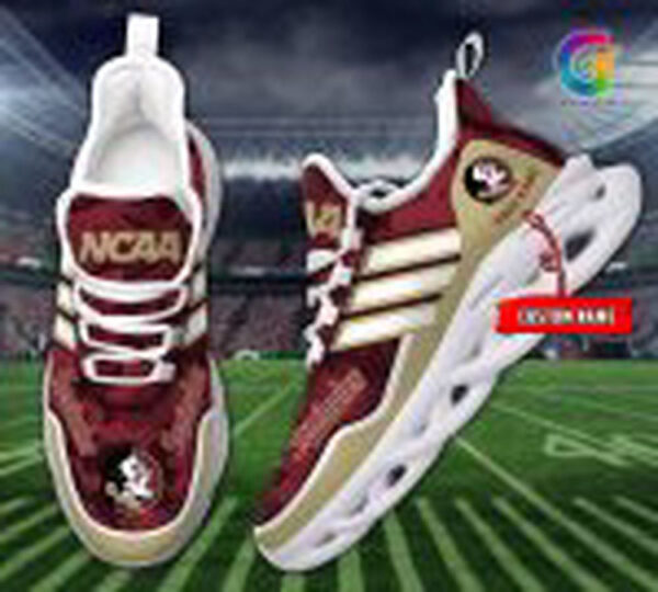 Florida State Seminoles Personalized Max Soul Shoes Gift