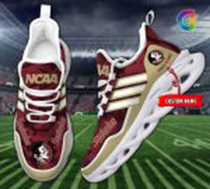 Florida State Seminoles Personalized Max Soul Shoes Gift